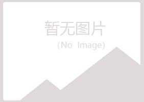 龙泉紫山水泥有限公司